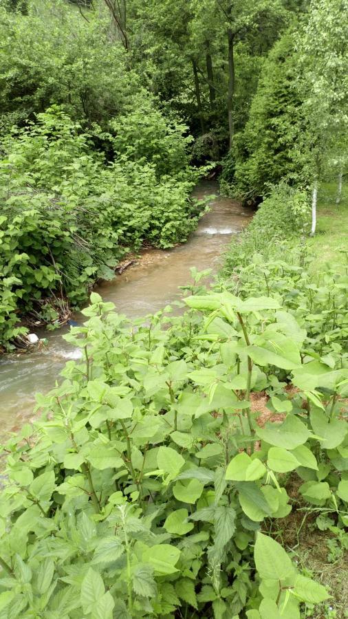 Cottage Forest Stream Високо Экстерьер фото